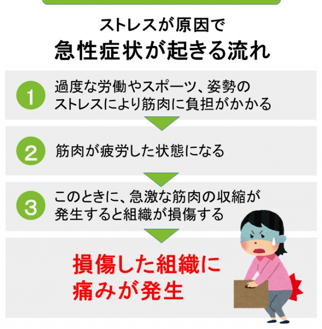 ストレスが原因で急性症状が起こる流れ